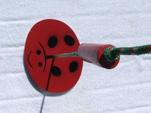 Balance Swing, Red Ladybird - Indoor or Outdoor